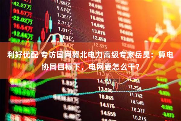 利好优配 专访国网冀北电力高级专家岳昊：算电协同目标下，电网要怎么干？