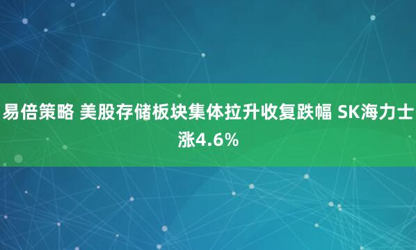 易倍策略 美股存储板块集体拉升收复跌幅 SK海力士涨4.6%