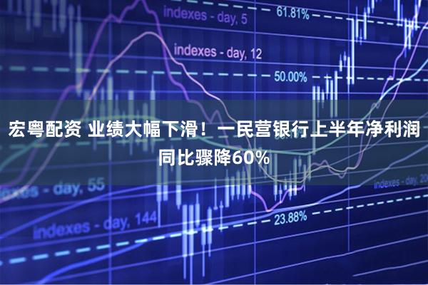 宏粤配资 业绩大幅下滑！一民营银行上半年净利润同比骤降60%